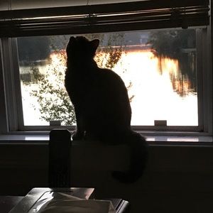 Meet your Posher, Sharon